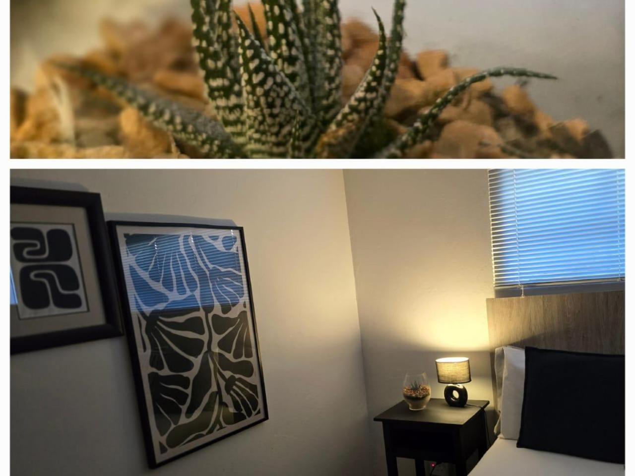 The Lantern Guesthouse 블룸폰테인 외부 사진